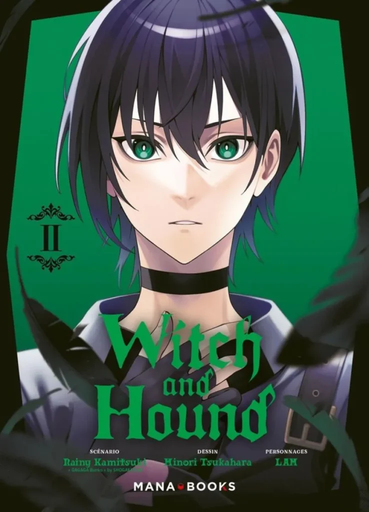 Witch and Hound T2